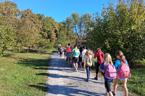 Na poti proti Artiški hosti