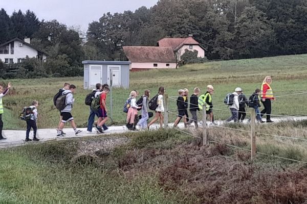Učenci na zadnjem delu poti proti šoli