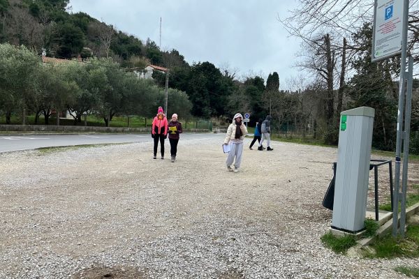 Spoznavanje žive in nežive narave