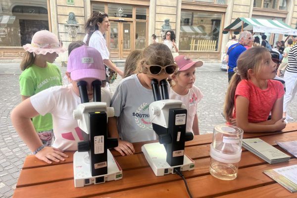 Ulični znanstival