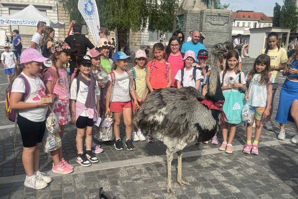 Ulični Znanstival